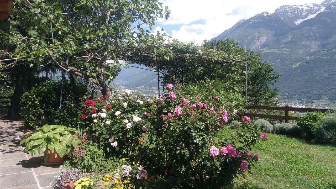Apartamento La Casa Di Alfredo E Virginia Aosta Exterior foto