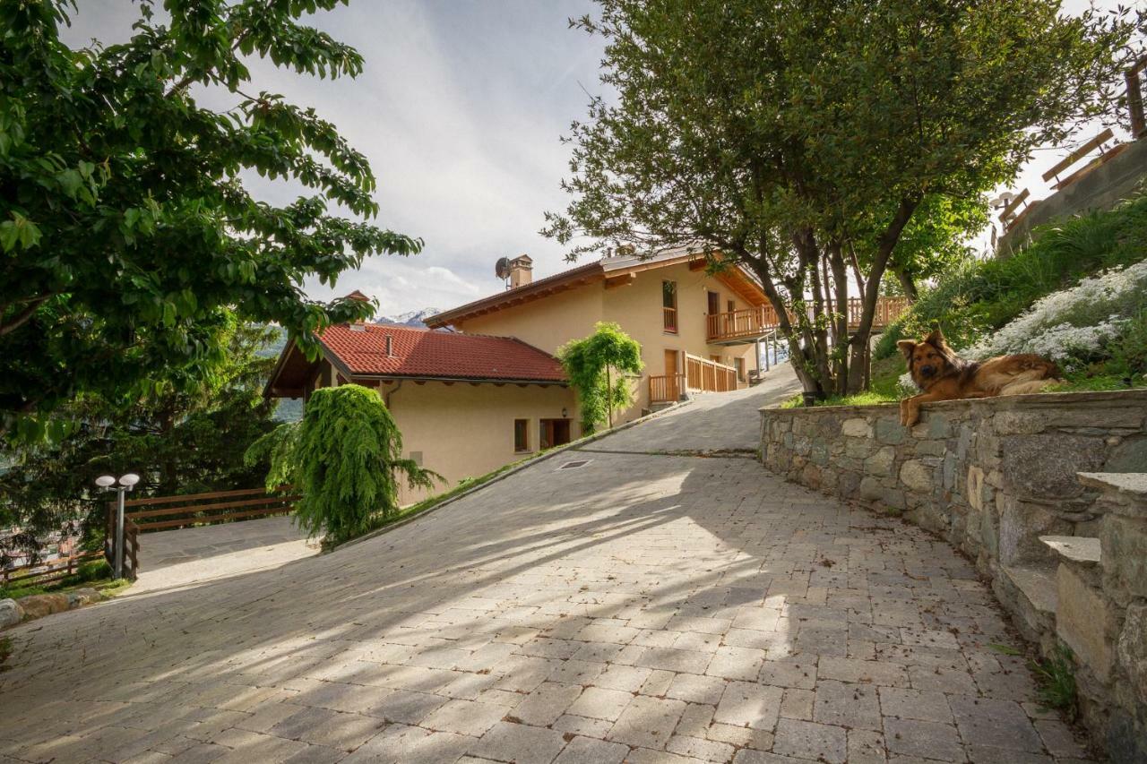 Apartamento La Casa Di Alfredo E Virginia Aosta Exterior foto